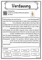 Vorschau - Unterrichtsreihen - Verdauung Lückentext mit Wortspeicher Hörverstehen und Suchsel - Seite 1