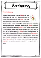 Vorschau - Unterrichtsreihen - Verdauung Lückentext mit Wortspeicher Hörverstehen und Suchsel - Seite 2