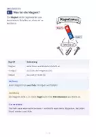 Vorschau - Arbeitsblätter - Magnetismus Grundlagen – Physik Arbeitsheft - Seite 2