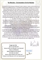 Vorschau - Arbeitsblätter - Die Moschee, Gebet, Waschung im Islam, fünf Säulen - Seite 1