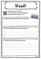 Vorschau - Unterrichtsreihen - Waadt Lückentext mit Wortspeicher Hörverstehen und Suchsel - Seite 3