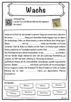 Vorschau - Unterrichtsreihen - Wachs Lückentext mit Wortspeicher Hörverstehen und Suchsel - Seite 1