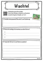 Vorschau - Unterrichtsreihen - Wachtel Lückentext mit Wortspeicher Hörverstehen und Suchsel - Seite 3