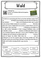 Vorschau - Unterrichtsreihen - Wald Lückentext mit Wortspeicher Hörverstehen und Suchsel - Seite 1