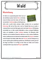 Vorschau - Unterrichtsreihen - Wald Lückentext mit Wortspeicher Hörverstehen und Suchsel - Seite 2