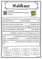 Vorschau - Unterrichtsreihen - Waldkauz Lückentext mit Wortspeicher Hörverstehen und Suchsel - Seite 1