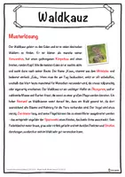 Vorschau - Unterrichtsreihen - Waldkauz Lückentext mit Wortspeicher Hörverstehen und Suchsel - Seite 2