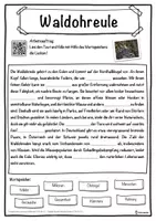 Vorschau - Unterrichtsreihen - Waldohreule Lückentext mit Wortspeicher Hörverstehen und Suchsel - Seite 1