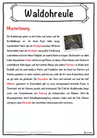 Vorschau - Unterrichtsreihen - Waldohreule Lückentext mit Wortspeicher Hörverstehen und Suchsel - Seite 2