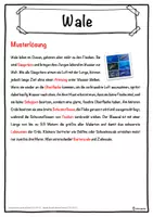 Vorschau - Unterrichtsreihen - Wale Lückentext mit Wortspeicher Hörverstehen und Suchsel - Seite 2