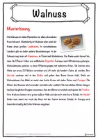 Vorschau - Unterrichtsreihen - Walnuss Lückentext mit Wortspeicher Hörverstehen und Suchsel - Seite 2