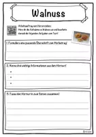 Vorschau - Unterrichtsreihen - Walnuss Lückentext mit Wortspeicher Hörverstehen und Suchsel - Seite 3
