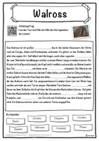 Vorschau - Unterrichtsreihen - Walross Lückentext mit Wortspeicher Hörverstehen und Suchsel - Seite 1
