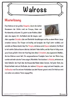 Vorschau - Unterrichtsreihen - Walross Lückentext mit Wortspeicher Hörverstehen und Suchsel - Seite 2