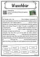 Vorschau - Unterrichtsreihen - Waschbär Lückentext mit Wortspeicher Hörverstehen und Suchsel - Seite 1