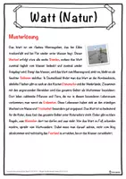 Vorschau - Unterrichtsreihen - Watt (Natur) Lückentext mit Wortspeicher Hörverstehen und Suchsel - Seite 2