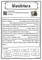 Vorschau - Unterrichtsreihen - Weichtiere Lückentext mit Wortspeicher Hörverstehen und Suchsel - Seite 1