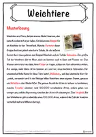 Vorschau - Unterrichtsreihen - Weichtiere Lückentext mit Wortspeicher Hörverstehen und Suchsel - Seite 2