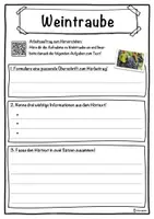 Vorschau - Unterrichtsreihen - Weintraube Lückentext mit Wortspeicher Hörverstehen und Suchsel - Seite 3