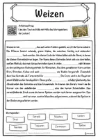 Vorschau - Unterrichtsreihen - Weizen Lückentext mit Wortspeicher Hörverstehen und Suchsel - Seite 1