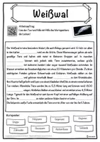 Vorschau - Unterrichtsreihen - Weißwal Lückentext mit Wortspeicher Hörverstehen und Suchsel - Seite 1