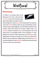 Vorschau - Unterrichtsreihen - Weißwal Lückentext mit Wortspeicher Hörverstehen und Suchsel - Seite 2