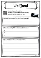 Vorschau - Unterrichtsreihen - Weißwal Lückentext mit Wortspeicher Hörverstehen und Suchsel - Seite 3