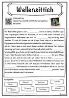 Vorschau - Unterrichtsreihen - Wellensittich Lückentext mit Wortspeicher Hörverstehen und Suchsel - Seite 1