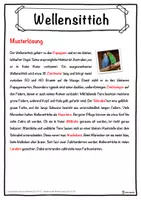 Vorschau - Unterrichtsreihen - Wellensittich Lückentext mit Wortspeicher Hörverstehen und Suchsel - Seite 2