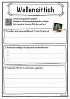 Vorschau - Unterrichtsreihen - Wellensittich Lückentext mit Wortspeicher Hörverstehen und Suchsel - Seite 3