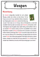 Vorschau - Unterrichtsreihen - Wespen Lückentext mit Wortspeicher Hörverstehen und Suchsel - Seite 2