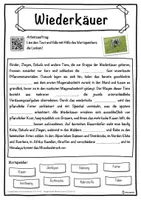 Vorschau - Unterrichtsreihen - Wiederkäuer Lückentext mit Wortspeicher Hörverstehen und Suchsel - Seite 1