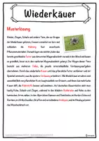 Vorschau - Unterrichtsreihen - Wiederkäuer Lückentext mit Wortspeicher Hörverstehen und Suchsel - Seite 2
