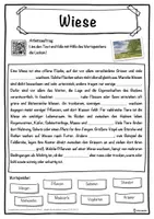 Vorschau - Unterrichtsreihen - Wiese Lückentext mit Wortspeicher Hörverstehen und Suchsel - Seite 1