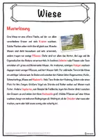 Vorschau - Unterrichtsreihen - Wiese Lückentext mit Wortspeicher Hörverstehen und Suchsel - Seite 2