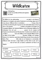 Vorschau - Unterrichtsreihen - Wildkatze Lückentext mit Wortspeicher Hörverstehen und Suchsel - Seite 1