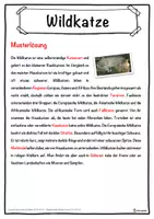 Vorschau - Unterrichtsreihen - Wildkatze Lückentext mit Wortspeicher Hörverstehen und Suchsel - Seite 2