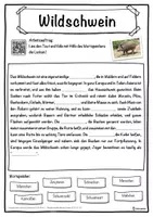 Vorschau - Unterrichtsreihen - Wildschwein Lückentext mit Wortspeicher Hörverstehen und Suchsel - Seite 1