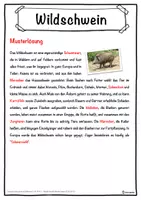 Vorschau - Unterrichtsreihen - Wildschwein Lückentext mit Wortspeicher Hörverstehen und Suchsel - Seite 2