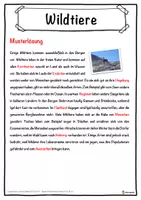Vorschau - Unterrichtsreihen - Wildtiere Lückentext mit Wortspeicher Hörverstehen und Suchsel - Seite 2