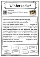 Vorschau - Unterrichtsreihen - Winterschlaf Lückentext mit Wortspeicher Hörverstehen und Suchsel - Seite 1
