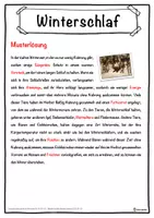 Vorschau - Unterrichtsreihen - Winterschlaf Lückentext mit Wortspeicher Hörverstehen und Suchsel - Seite 2