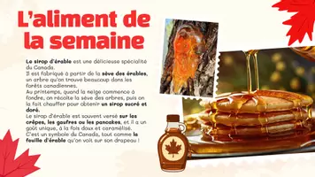 Aperçu - Préparation de séance / Séance complète - Diaporama de présentation du Canada, Amérique - Page 3
