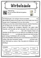 Vorschau - Unterrichtsreihen - Wirbelsäule Lückentext mit Wortspeicher Hörverstehen und Suchsel - Seite 1