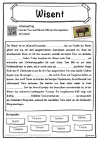 Vorschau - Unterrichtsreihen - Wisent Lückentext mit Wortspeicher Hörverstehen und Suchsel - Seite 1