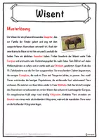 Vorschau - Unterrichtsreihen - Wisent Lückentext mit Wortspeicher Hörverstehen und Suchsel - Seite 2