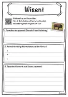 Vorschau - Unterrichtsreihen - Wisent Lückentext mit Wortspeicher Hörverstehen und Suchsel - Seite 3
