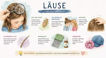 Vorschau - Arbeitsblätter - AB mit Fragen zum Thema "Läuse" + Lösungsblatt + Infografik - Seite 1