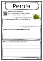 Vorschau - Unterrichtsreihen - Petersilie Lückentext mit Wortspeicher Hörverstehen und Suchsel - Seite 3