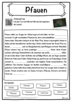 Vorschau - Unterrichtsreihen - Pfauen Lückentext mit Wortspeicher Hörverstehen und Suchsel - Seite 1